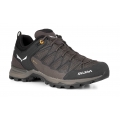 Salewa Buty trekkingowe Mtn Trainer Lite GTX (podejście, wodoodporne) brązowe męskie